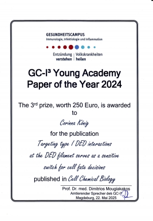 preis gci3